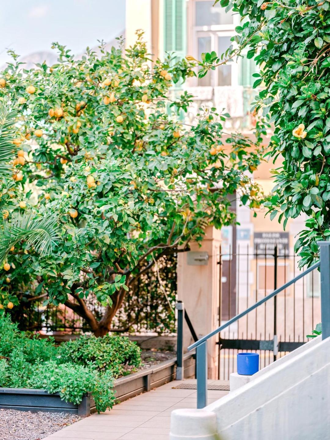 Hotel Lemon Menton Exterior photo