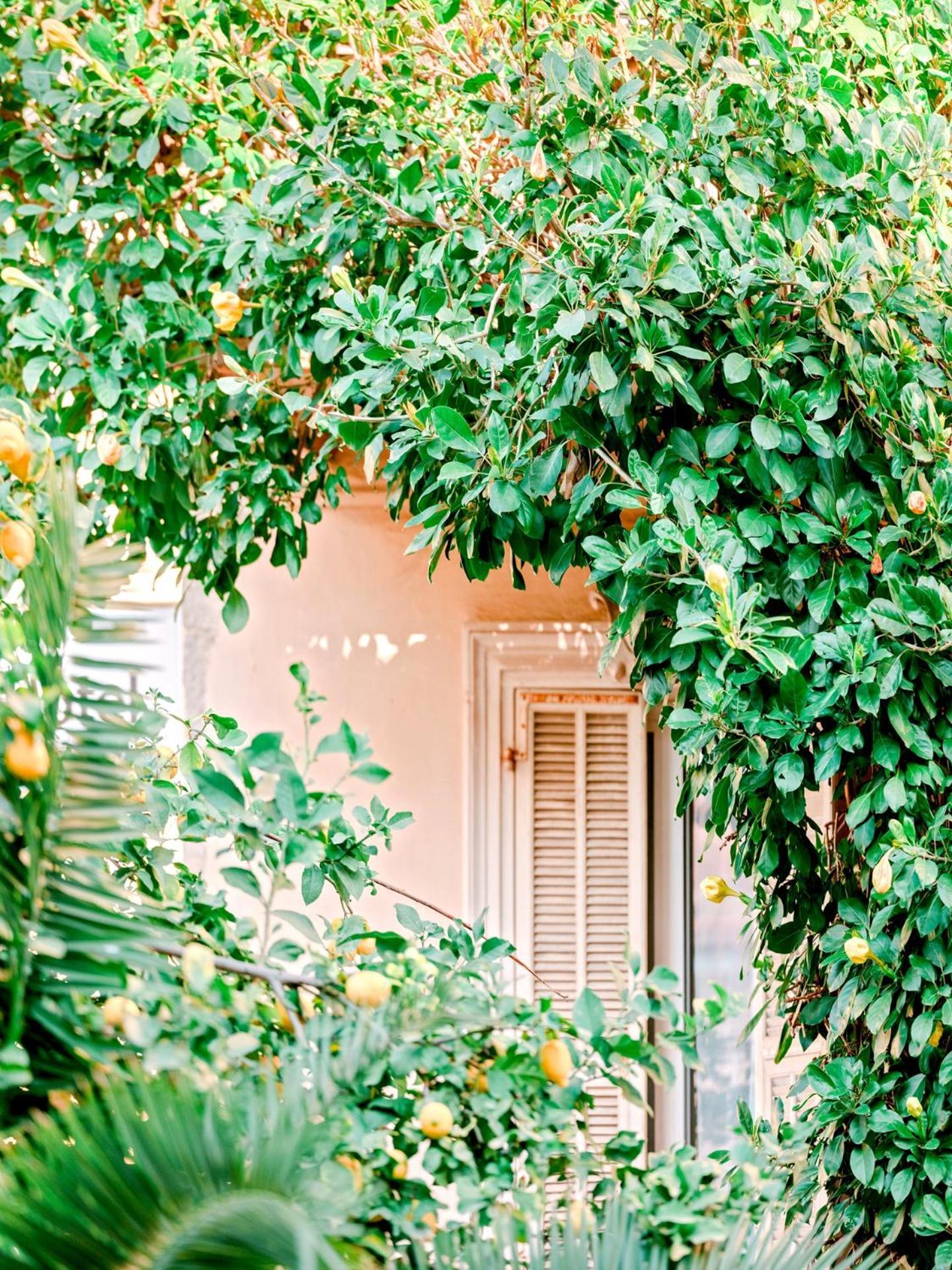 Hotel Lemon Menton Exterior photo